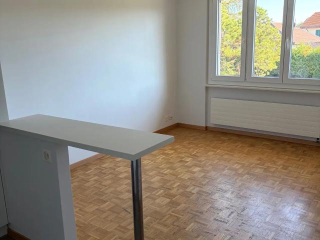 2 Zimmer, 40 m²
