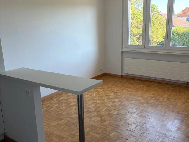 2 Zimmer, 40 m²