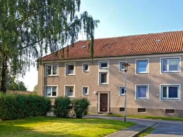 2 Zimmer 40 m² 339 € Kaltmiete Wohnungen in Hamm