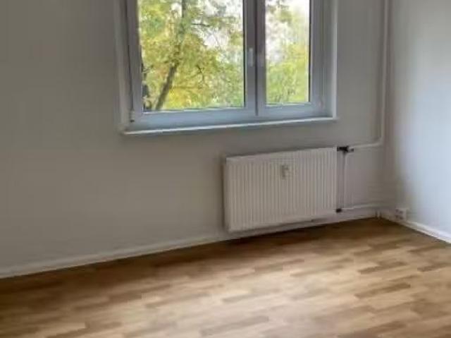 2 Zimmer 44 m² 310 € Kaltmiete Wohnungen in Erfurt