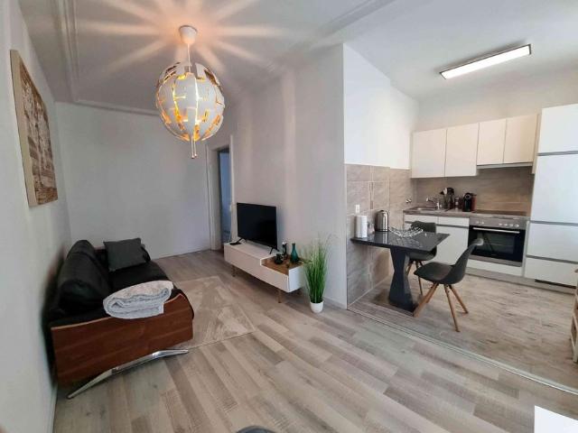 2 Zimmer, 45 m²