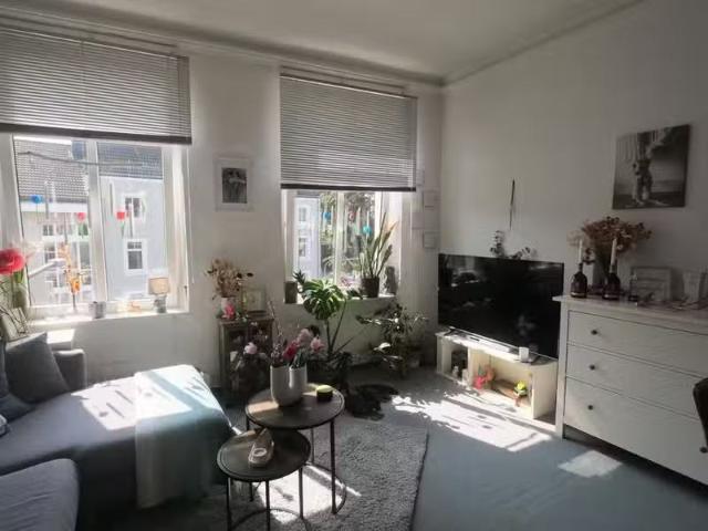 2 Zimmer 45 m² 420 € Kaltmiete Wohnungen in Aachen
