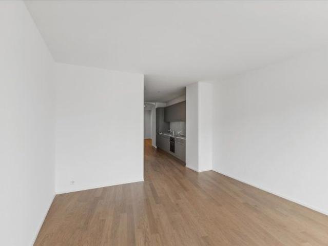 2 Zimmer, 48 m², 1. Stock