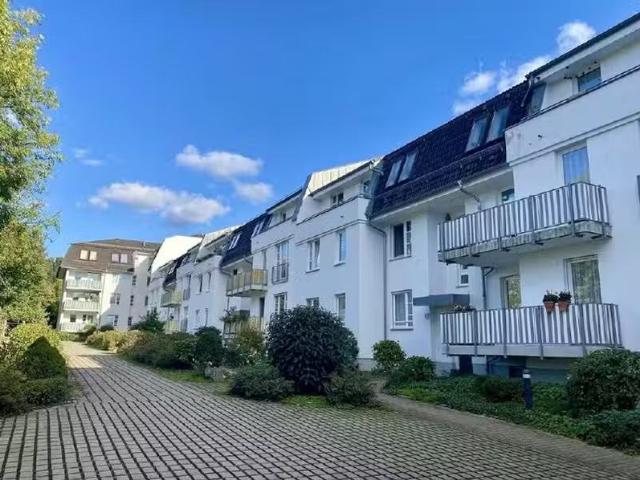 2 Zimmer 48 m² 315 € Kaltmiete Wohnungen in Chemnitz