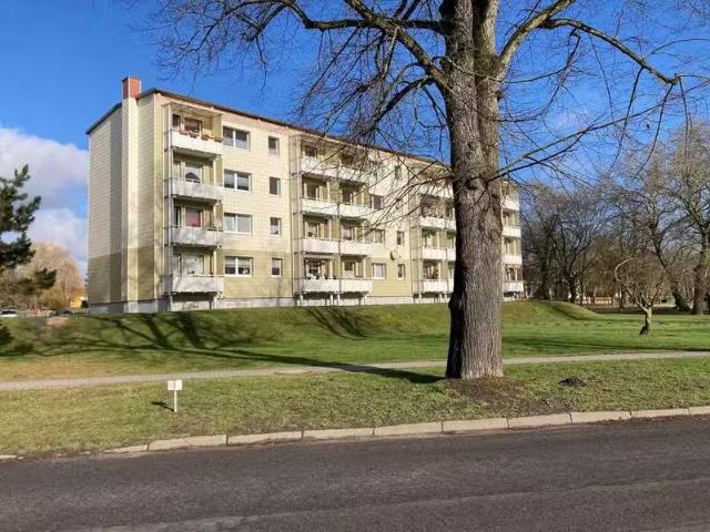 2 Zimmer 49 m² 280 € Kaltmiete Wohnungen in Tützpatz
