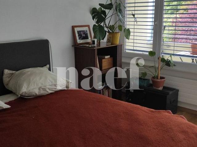 2 Zimmer, 49 m², 2. Stock