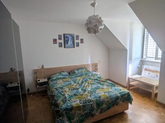 2 Zimmer, 49 m²