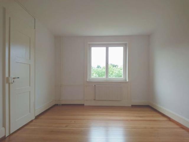 2 Zimmer, 53 m², EG