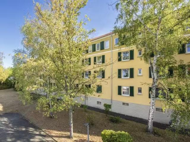 2 Zimmer 53 m² 559 € Kaltmiete Wohnungen in Kaiserslautern