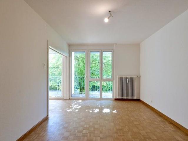 2 Zimmer, 50 m², EG