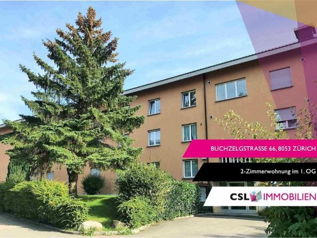 2 Zimmer, 50 m², 1. Stock