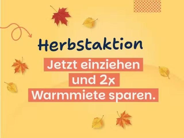 2 Zimmer 50 m² 276 € Kaltmiete Wohnungen in Stadtilm