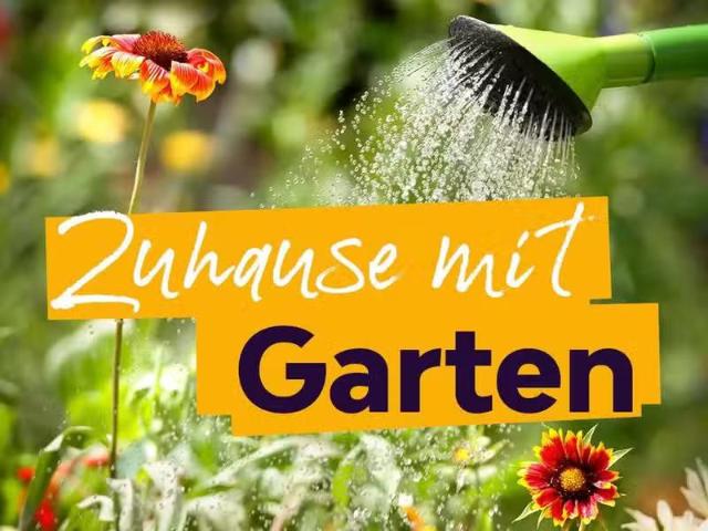 2 Zimmer 50 m² 285 € Kaltmiete Wohnungen in Lauta
