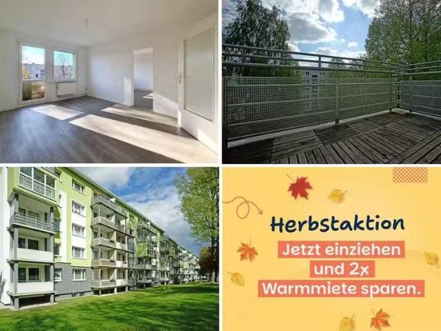 2 Zimmer 50 m² 290 € Kaltmiete Wohnungen in Freiberg