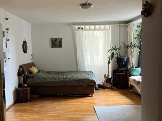 2 Zimmer, 50 m²
