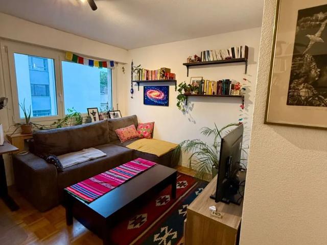 2 Zimmer, 50 m²