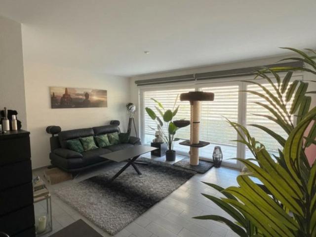 2 Zimmer, 51 m²