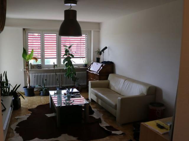 2 Zimmer, 57 m², EG
