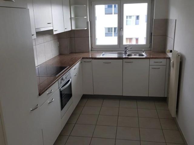 2 Zimmer, 54 m²