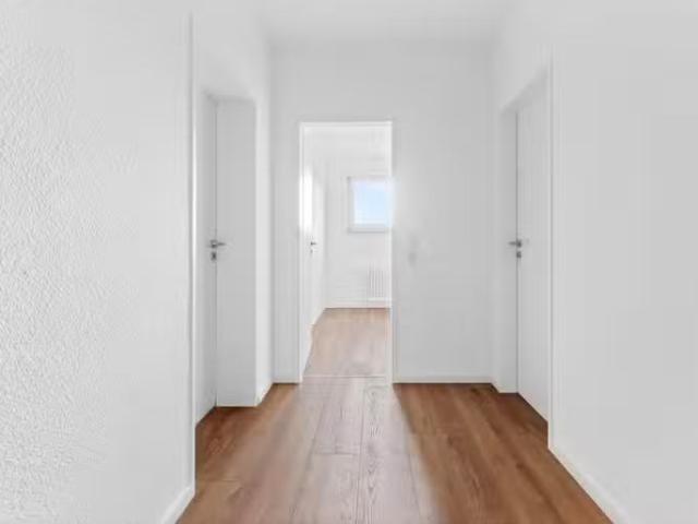 2 Zimmer 55 m² 850 € Kaltmiete Wohnungen in Hanau