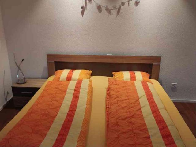 2 Zimmer, 60 m², EG
