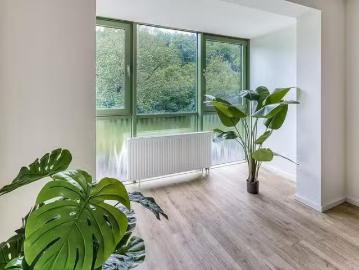 2 Zimmer 60 m² 340 € Kaltmiete Wohnungen in Drebach/Schar.