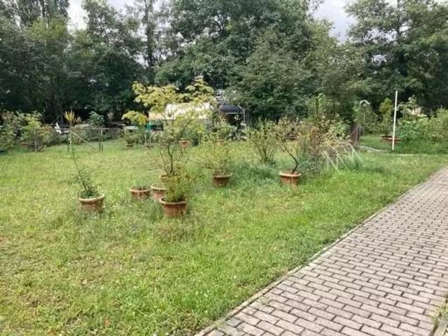 2 Zimmer 60 m² 360 € Kaltmiete Wohnungen in Lauta