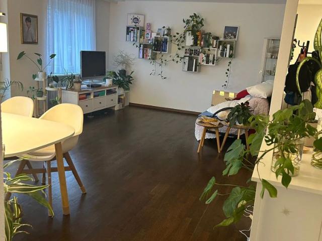 2 Zimmer, 65 m²