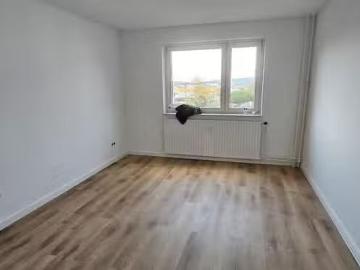 2 Zimmer 65 m² 650 € Kaltmiete Wohnungen in Eisenberg