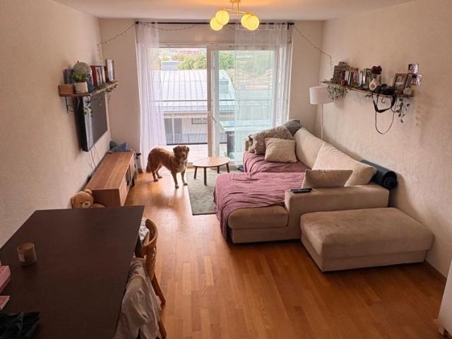 2 Zimmer, 71 m²