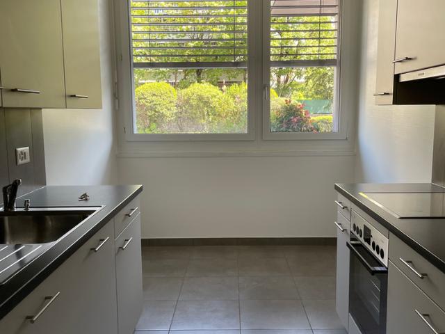 2 Zimmer, 30 m², EG