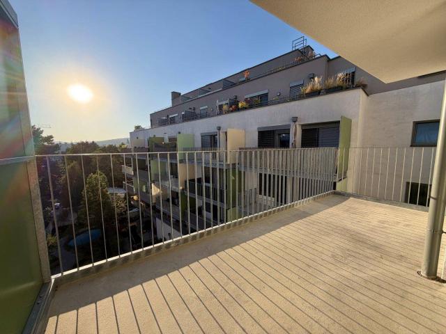 2 Zimmer West Balkon Wohnung in Hof Ruhelage