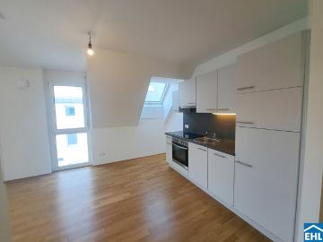 Wohnung zur Miete in 1230 - Keller, Zugang für Menschen mit Behinderungen
