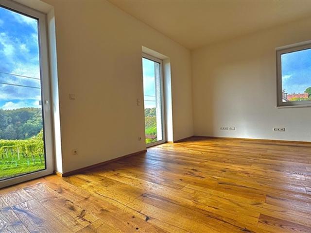 2 Zimmer Wohnung mit traumhaften Panoramablick inmitten der Weinberge von Klöch Erstbezug!