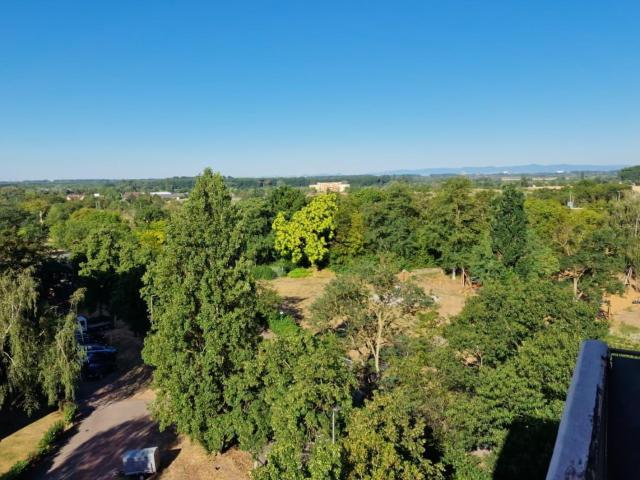 2 Zimmer Wohnung mit wundervoller Aussicht über Hockenheim