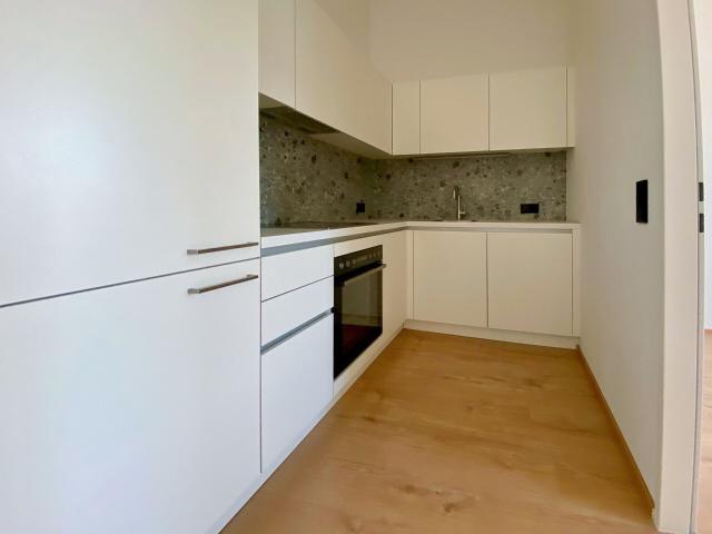 2 Zimmer Wohnung mit Badewanne und PKW Tiefgaragenstellplatz in 4600 Wels zur Miete