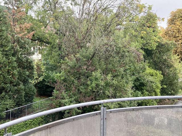 2 Zimmer Wohnung mit Balkon in Baden Baden provisionsfrei incl TG Platz