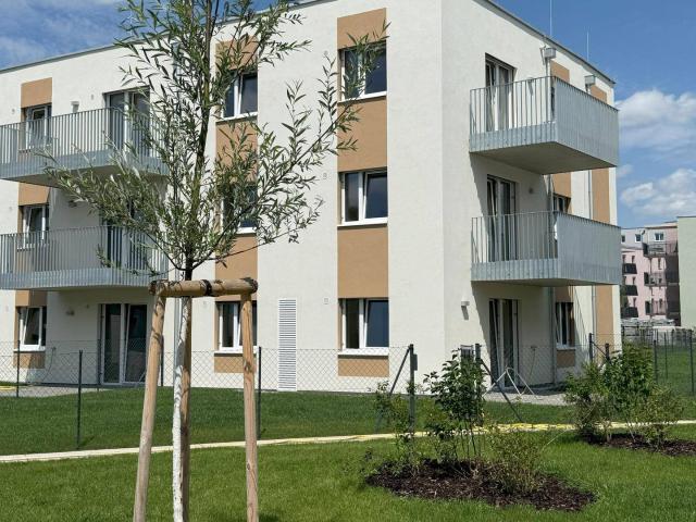 2 Zimmer Wohnung mit Balkon, Top 18