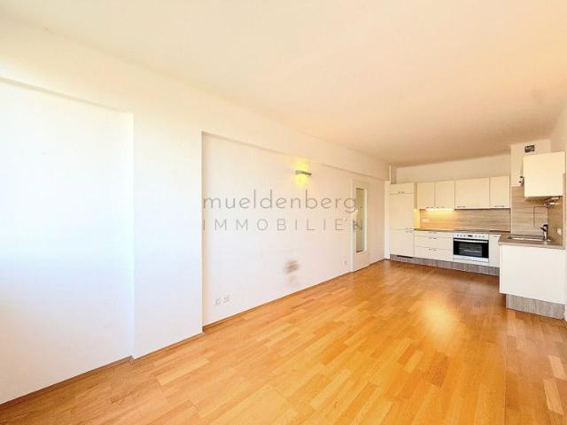 2 Zimmer Wohnung mit Einbauküche und Aufzug in 1010 Wien um 985,45 €!