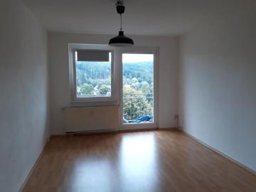 2 Zimmer Wohnung mit Einbauküche, Waschmaschine und Balkon!
