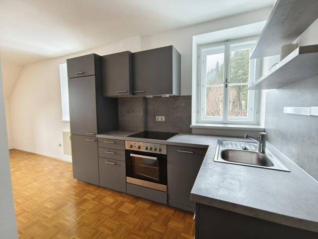 2 Zimmer Wohnung mit Küche und gratis Parkplatz