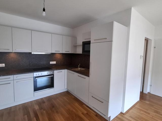 2 Zimmer Wohnung mit Küche und Loggia in der Vogelweiderstraße in Wels zu vermieten