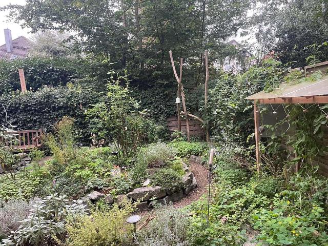 2 Zimmer Wohnung nähe Pferdemarkt mit Garten ruhige Lage