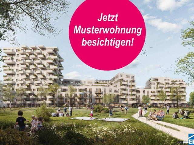 2 Zimmer Wohnung | Alte Donau | Freifläche