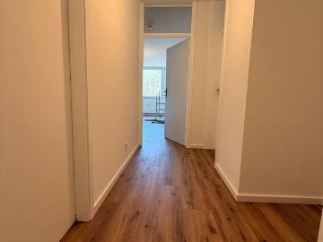 2 Zimmer Wohnung Balkon ins Grüne, Aufzug, Einbauküche Erstbezug nach umfassender Renovierung