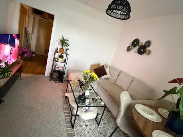 2 Zimmer Wohnung Dresden Plauen 43m² Frisch renoviert&möbolirt