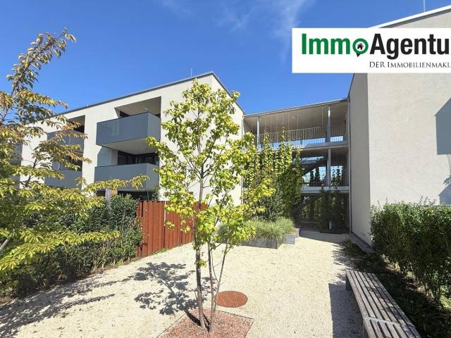 2 Zimmer Wohnung | Garten | Modern