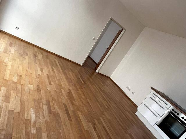 2 Zimmer Wohnung im Bezirk Innere Stadt nähe Krankenhaus Barmherzige Brüder & Schwestern