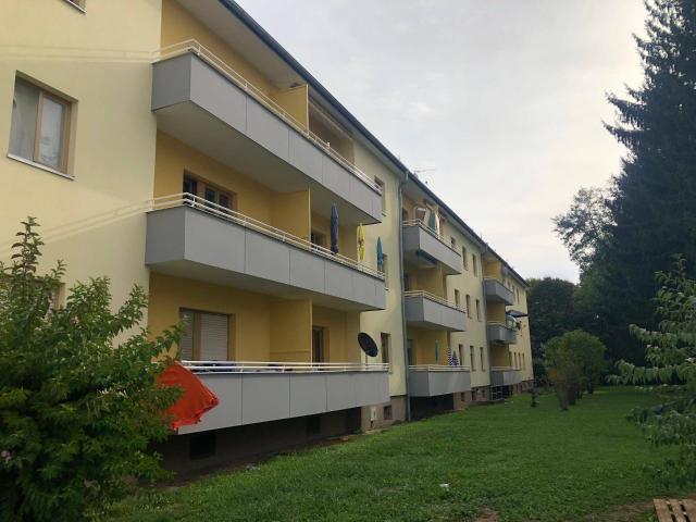 2 Zimmer Wohnung im Erdgeschoss mit Balkon Miete