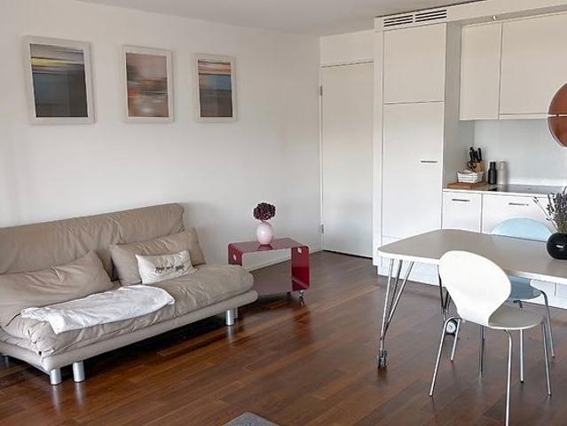 2½ Zimmer Wohnung in Männedorf ZH, möbliert, auf Zeit